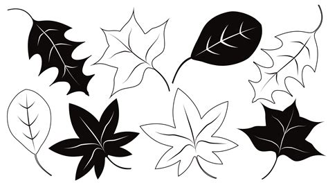 leaves clip art free|leaves clip art black and white.